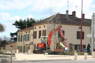 Remplacement des arbres