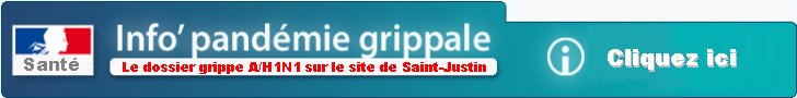 Vérités et mensonges, tout ce qui a été écrit sur la pandémie, etc