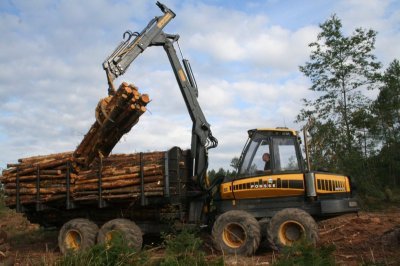 Débardage des bois ronds avant le transport par la route