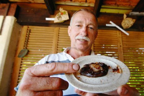  Dans son garage, Francis Ithurburu a testé sa gelée sur deux nids de frelons asiatiques.  photo N. L. L.  