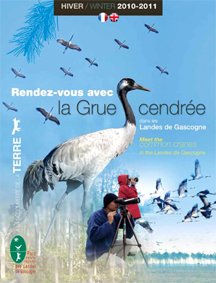 Grues cendrées : Programme d'observations