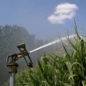 le préfet des Landes a pris ses premiers arrêtés limitant l'irrigation par les agriculteurs... Cliquez pour voir ...