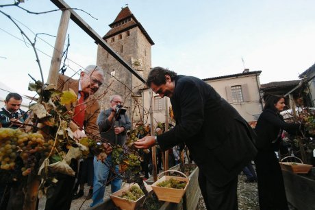  Les représentants du réseau Cittaslow se sont prêtés à l'exercice des vendanges royales, hier après-midi. Un peu plus tôt, ils ont remis le diplôme Cittaslow aux élus labastiens.  photo nicolas Le Lièvre  