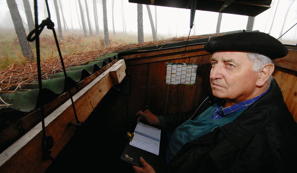  Jean-Pierre Serres, caché dans sa palombière, attend les pigeons ramiers avec impatience.  photos nicolas le lièvre  || Le Lievre Nicolas