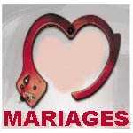 mariages forcés pour ou contre ..  voir ...