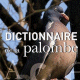 LIVRE. Le « Dictionnaire de la palombe » restitue l'ambiance de la chasse avec humour et tendresse nostalgique. Cliquez pour voir le comptage ...