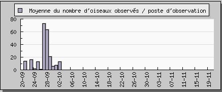 Observation palombes