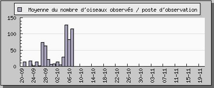 Observation palombe