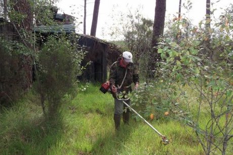  L'un nettoie le sous-bois pendant que l'autre rafistole les couloirs.  photo P. I.  