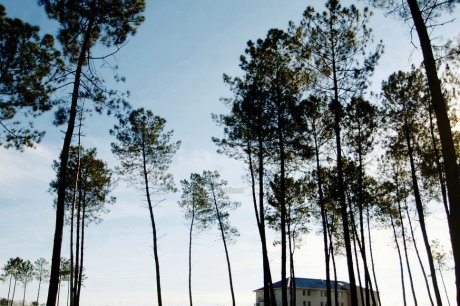  Sur la zone de Mamoura Nord, il ne reste plus que deux terrains à vendre. D'où la nécessité de trouver du foncier ailleurs et notamment sur Mamoura Sud.  photo nicolas le lièvre  